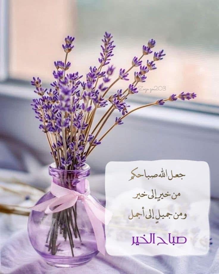 Ss99127789